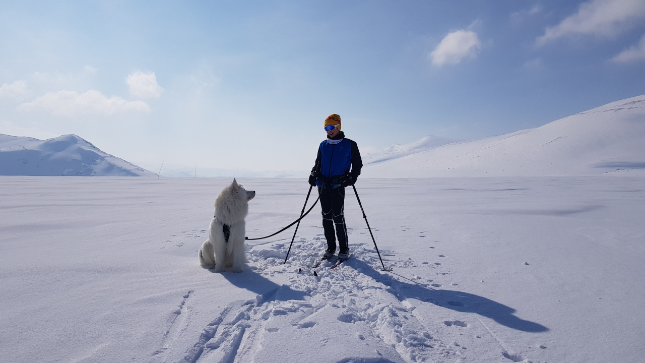 Vinter_Person_hund_ski-Flya_1280b.jpg